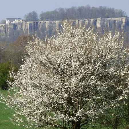 Buechsenhof *