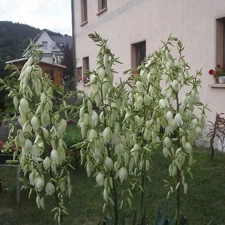 Buechsenhof